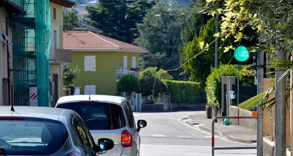 Rovereto, multe salate a chi non pota le piante
