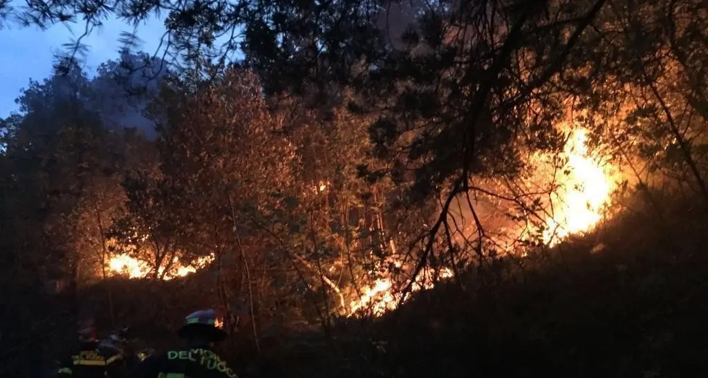 Incendi a Riva e Ledro, preso il presunto piromane