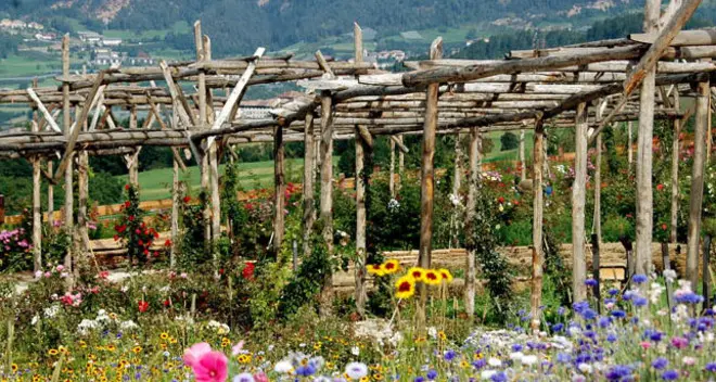 Giardino della rosa: 4.000 visitatori