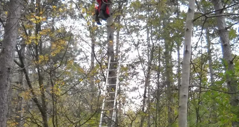 Base jumper russo appeso per un’ora tra i rami di due pini