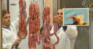 Allarme diossina: controlli a tappeto