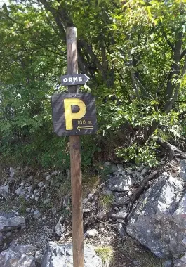 Dinosauri, il tesoro dimenticatoLe \"piste\" abbandonate di Rovereto