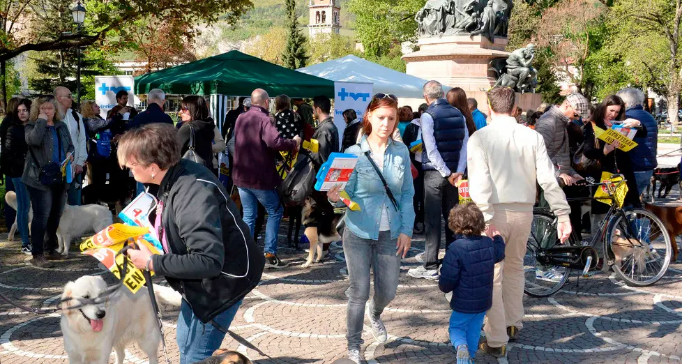 «Marcia per Otty», a Trento la protesta contro i bocconi avvelenati