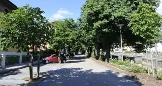 Il censimento di tutti gli alberi