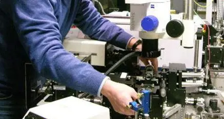 Energia pulita e poco costosa dalle batterie al rabarbaro