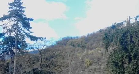 Borgo, vola via il tetto del capannone