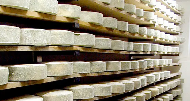 Formaggio nascosto sotto il letto: nei guai macellaio di Molveno