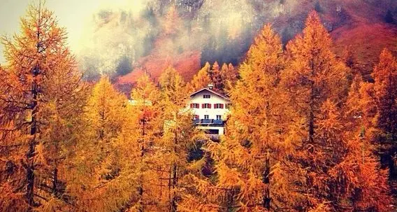 Instatrentino, quando l'autunno è una tavolozza multicolor