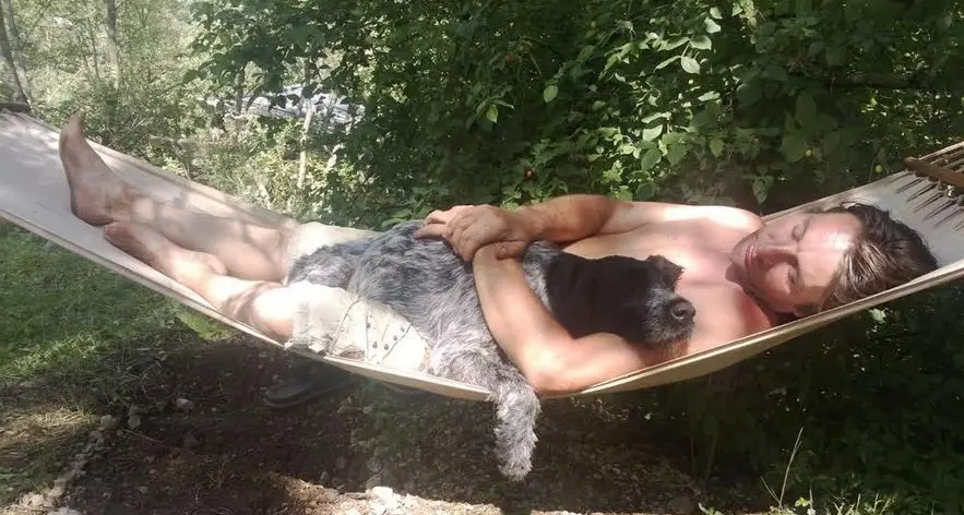 Due cani uccisi dal veleno in via Zandonai a Lavis