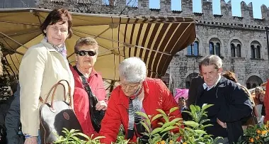 Trento: San Giuseppe, una folla mai vista