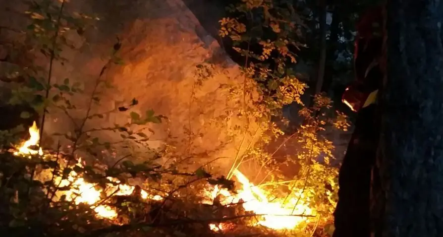 Altro incendio, caccia al piromane