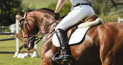 Cade da cavallo e viene calpestata dall'animale: muore donna di 39 anni