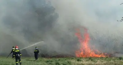 Fiavè, incendio nell'area protetta della torbiera