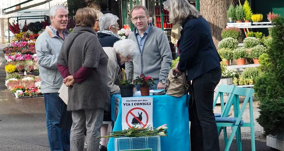 Al cimitero ci sono 140 conigli: protesta davanti al cancello