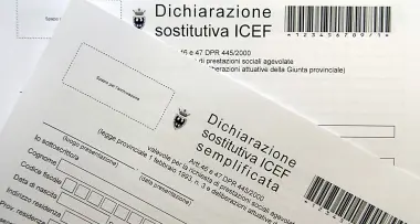 Dichiarazioni Icef, 464 \"furbetti\"
