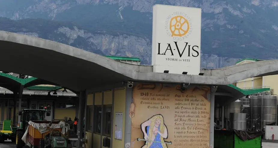 LaVis, si va verso il commissario