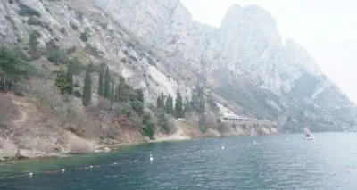 Trentino: gli alberi di Natale gettati nel lago di Garda diventeranno \"nursery\" per i pesci