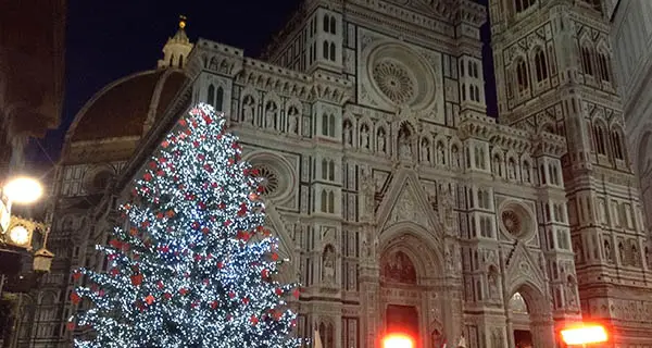 L’albero di Firenze? E’ quello del giardino di Bisti