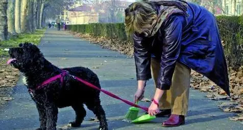 «Ricordini» dei cani, tolleranza zero