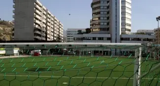 I campi sintetici messi all'indice