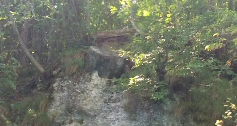Tuffi da pedana di 15 metri La denuncia dei «bagnini»