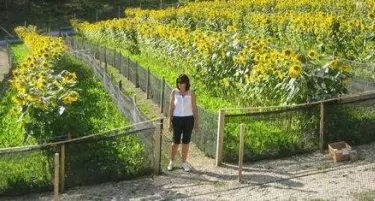 Monica, l'estetista che si dedica alle lumache