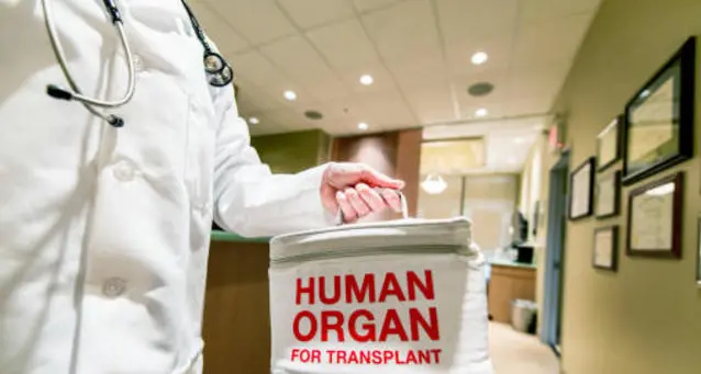 Donazioni organi: 18.548 sì