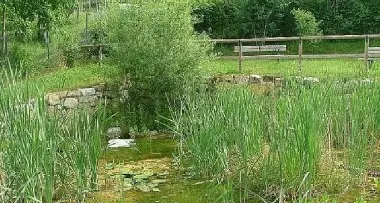 Parco, luce sempre accesa / SEGNALA