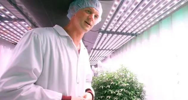 Farmaci con cannabis gratuiti