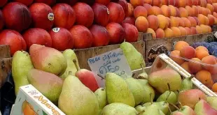 Negli asili trentini frutta e verdura padovane