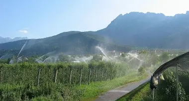 Pergine: progetto irrigazione, servono 6,6 milioni