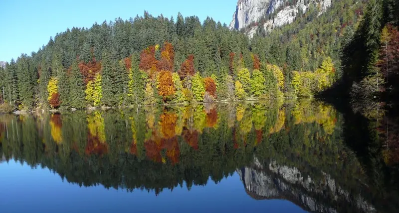 Autunno multicolor: ecco le vostre foto
