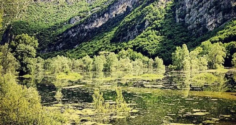 «Estinzioni»: una foto e finirete dritti al Muse