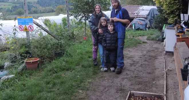 Bleggio, la noce torna star con l’agricoltura biologica