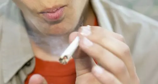 Hashish, la polizia arresta la «banda dei marocchini»