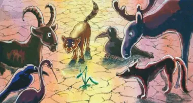 Trento: \"L'ambiente dei bimbi\" al museo di scienze