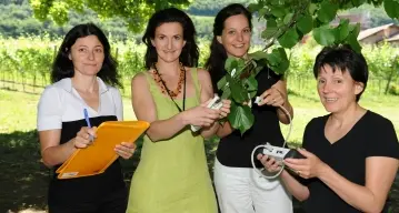 Troppo ozono per il 70% degli alberi
