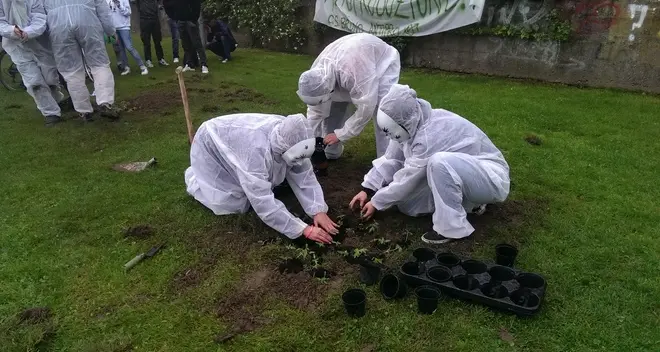 Parco Santa Chiara, blitz alla marijuana