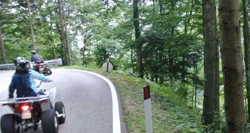 «Ti regalo il bosco». «No, non lo voglio»: l'incredibile caso di Noriglio