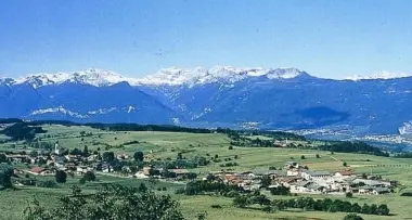 Fitosanitari, Malosco vince al Tar