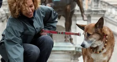 Riva come Capri: \"Cani schedati col Dna\"