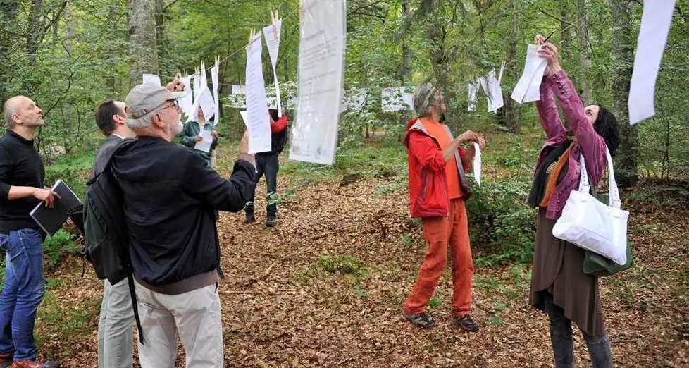 Cavedago, dentro il bosco per cogliere la poesia della natura