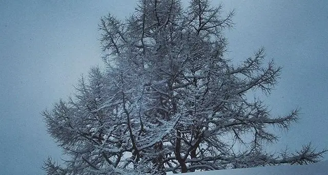 Arriva la neve (poca)