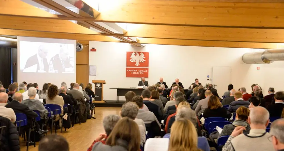 Materne, rischio accorpamenti per il calo delle nascite