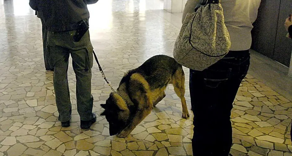 Controlli antidroga in aula concordati con la preside