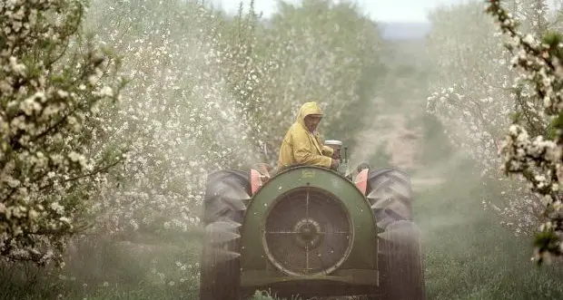 Pesticidi, anche le case private tra i siti sensibili