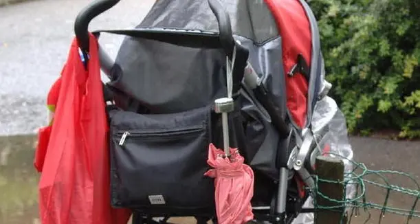 Passeggino «ricettato»: condannata a 3 mesi una giovane mamma