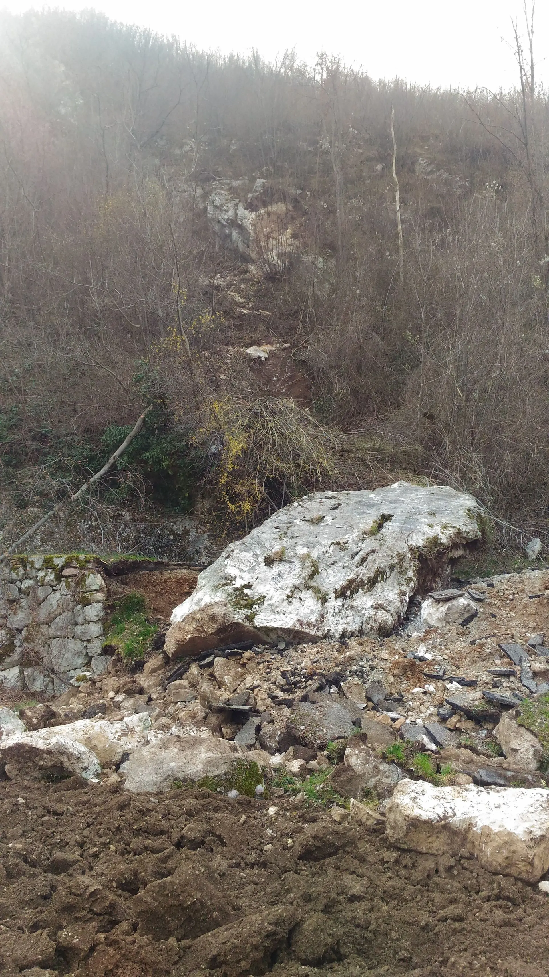 Grosso masso precipita sulla strada fra Sano e Loppio