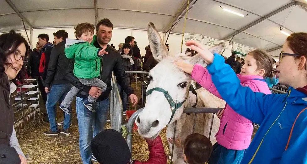 Per San Giuseppe più di 120 mila persone