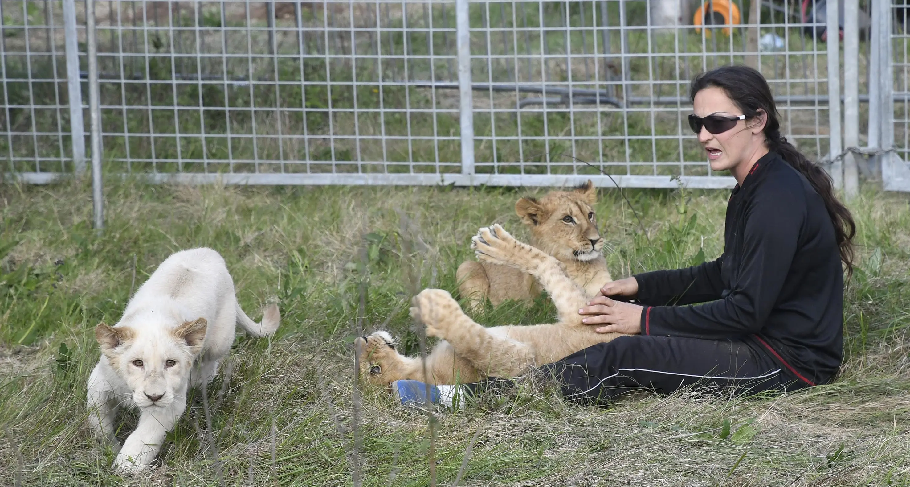 Rovereto, arriva il circo animalisti in rivolta